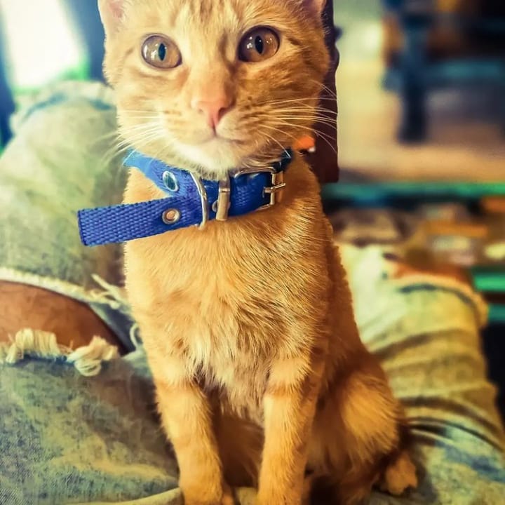 324862434_564104462033034_2793700312090472679_n